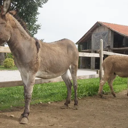 Bauernhof Richeton